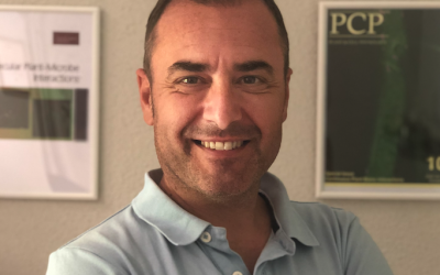 Vicente Mariscal Romero