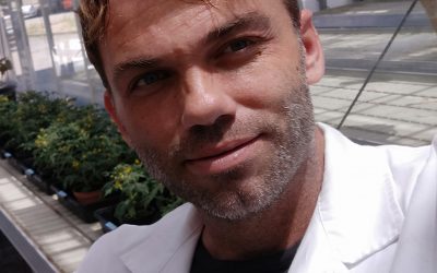 David Montesinos Pereira