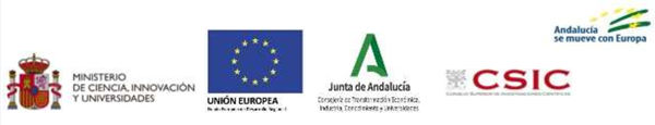 Otro proyecto de prueba