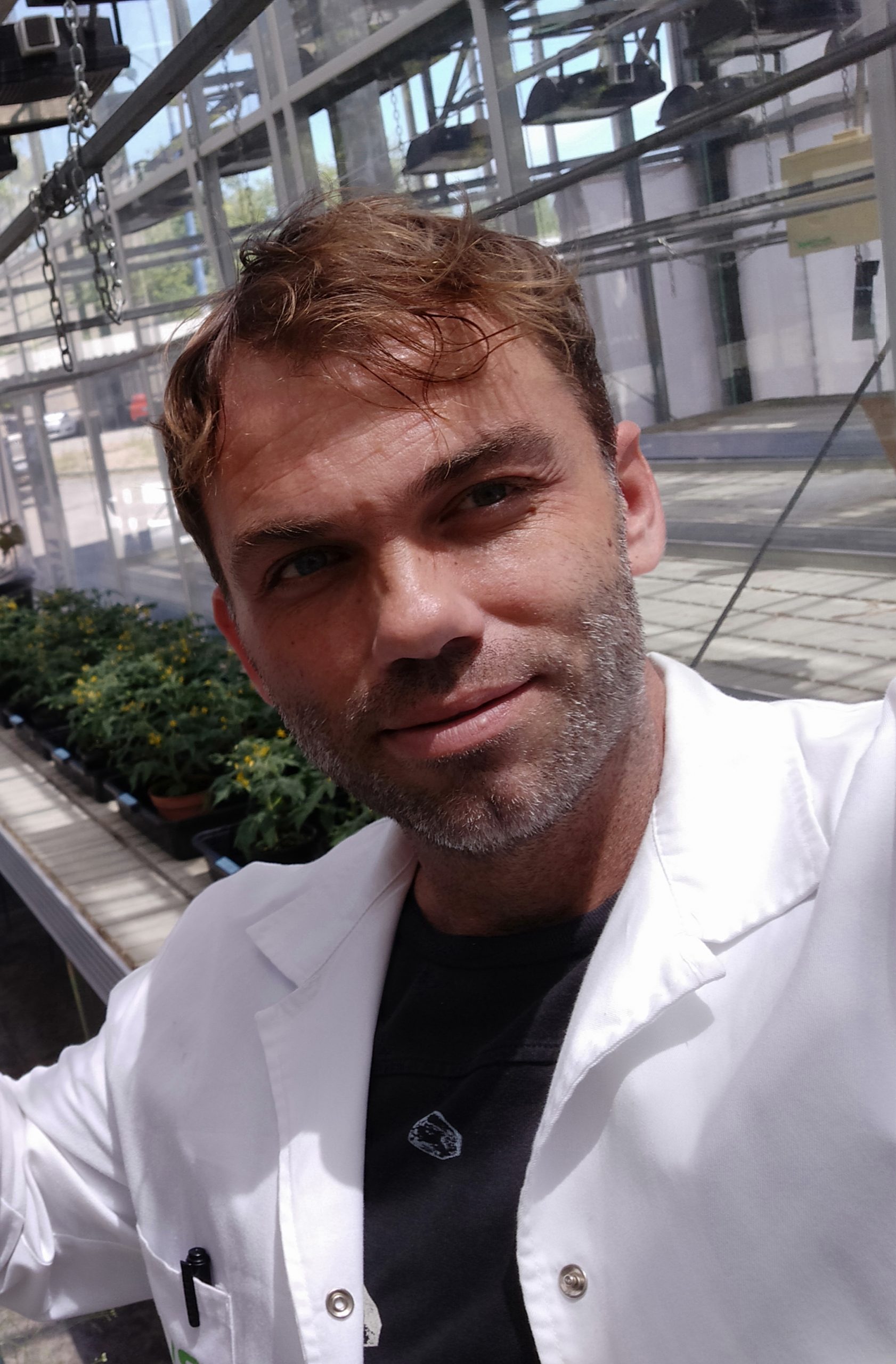 David Montesinos Pereira
