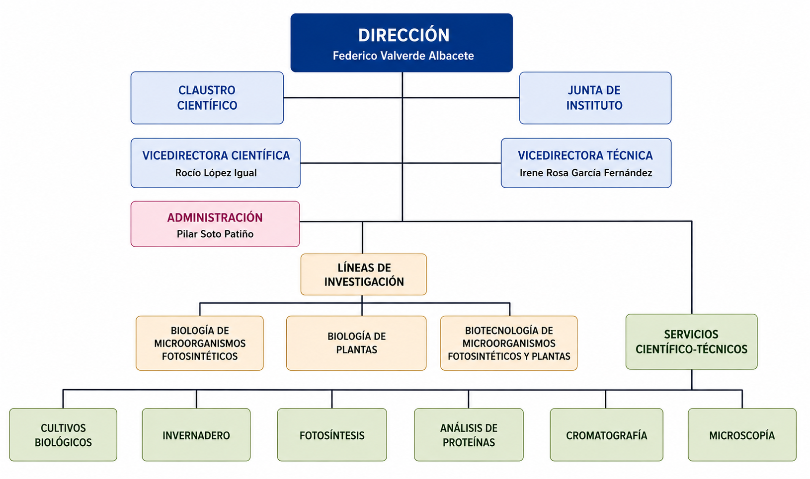 Organigrama del IBVF